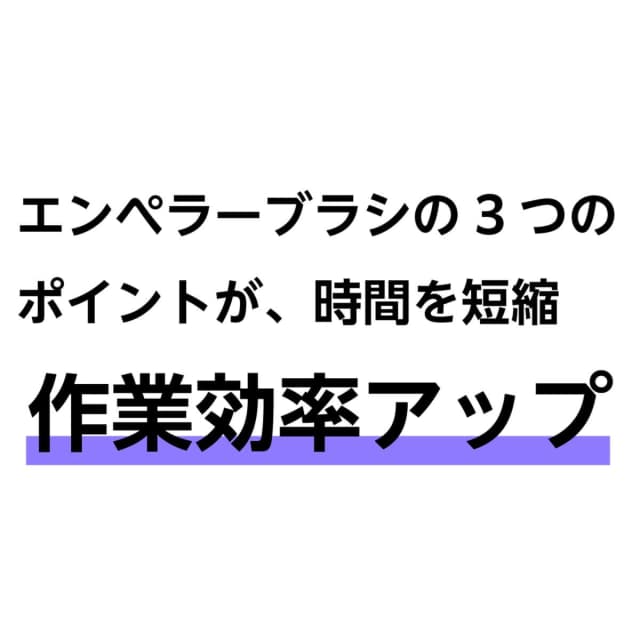 エンペラーブラシ (ブラック) 5