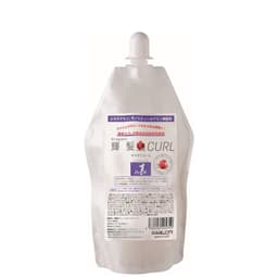 輝髪カール ハード 400ml 1