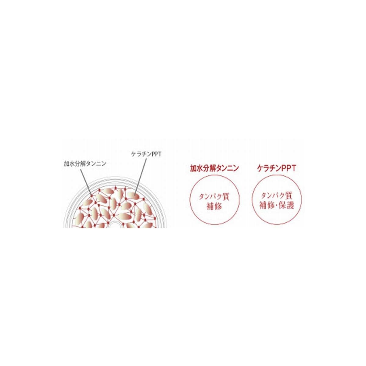 シェルパ コンディショニングミスト800ml詰め替え 2