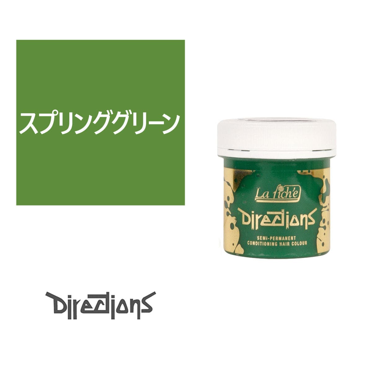 ディレクションカラー 100ml＜スプリンググリーン＞ 1