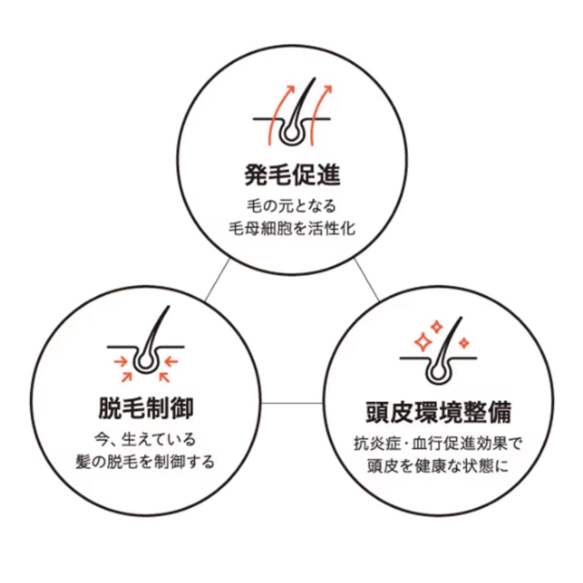 エポ スカルプエッセンス 100ml【医薬部外品】 3