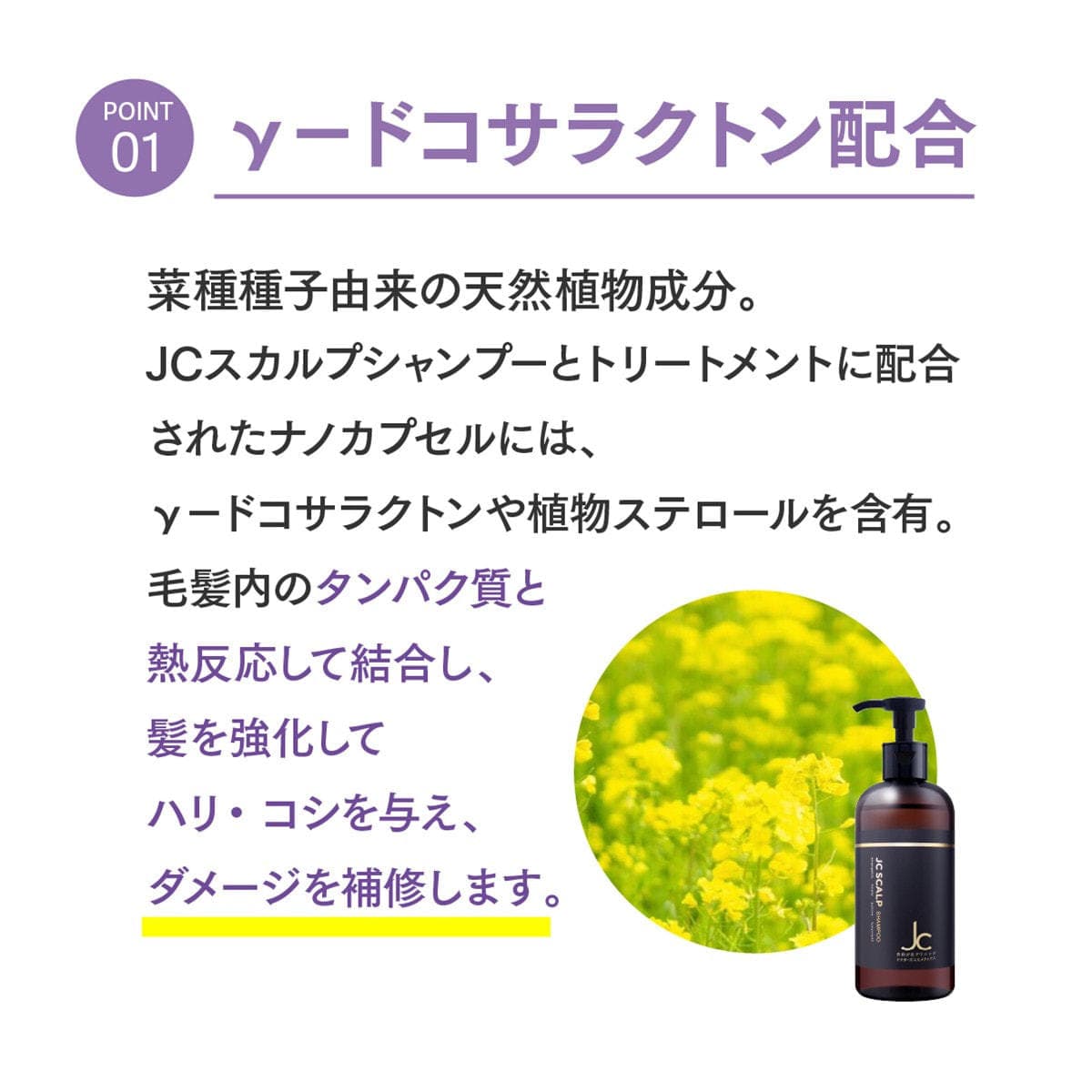 JC SCALPシャンプー業務用 500mL×2 5