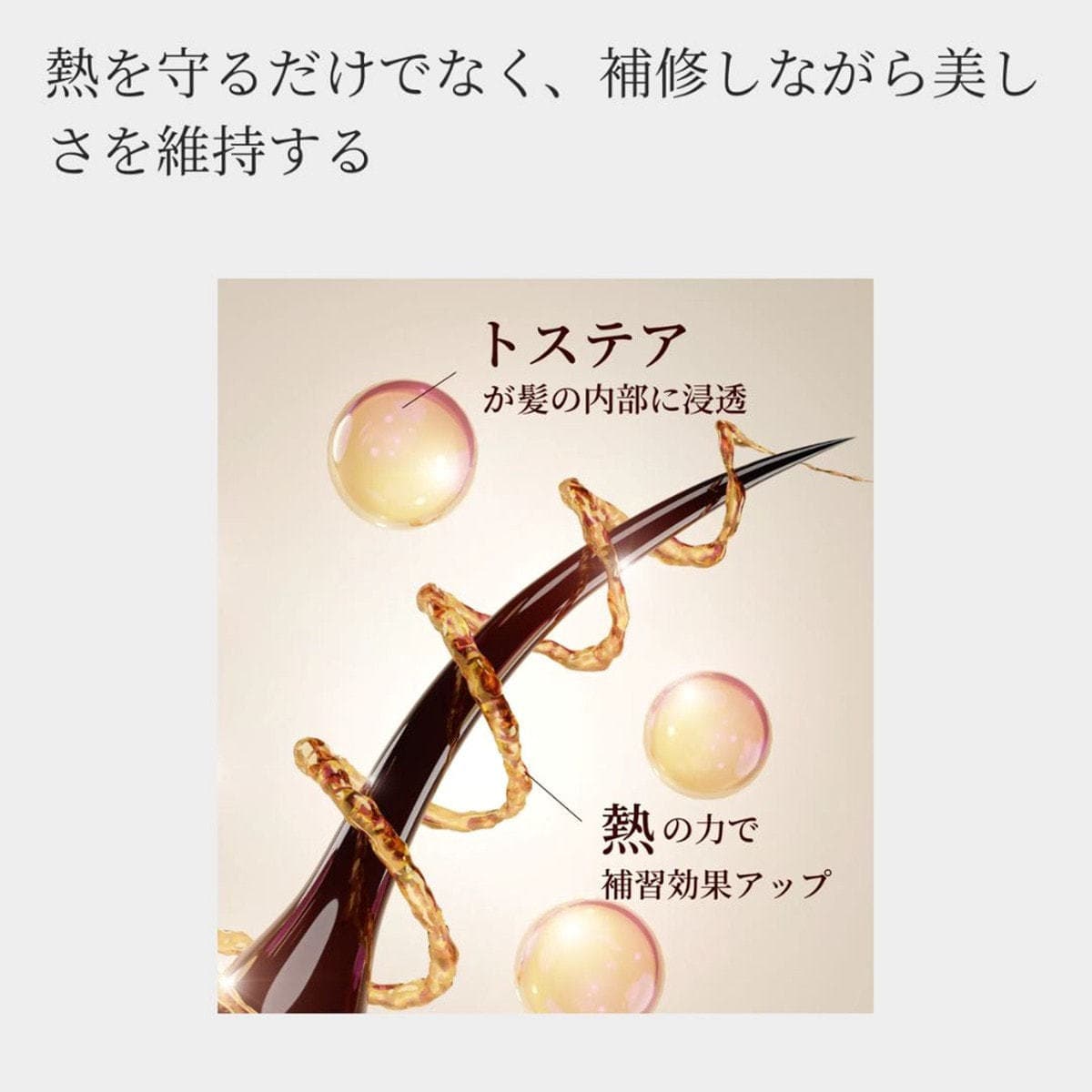 protego プロテゴ オイル100g 5