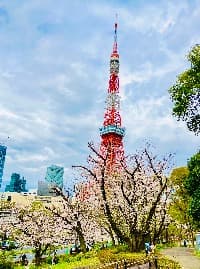 キラキラのプロフィール画像