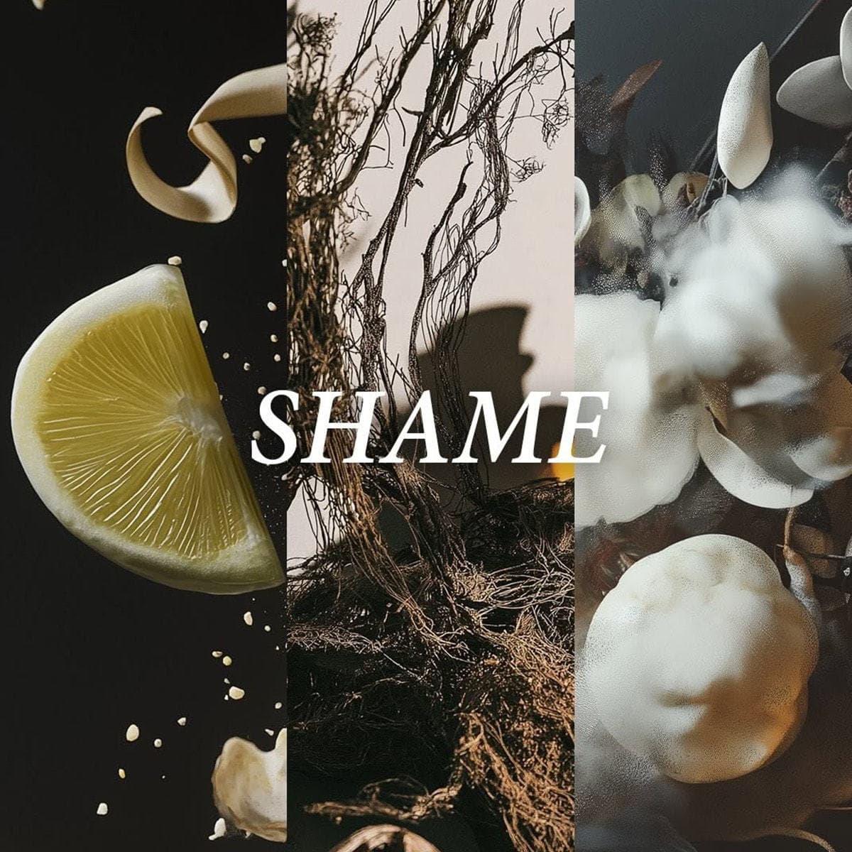 MAI OHW MAI　マーク5/ハンドクリーム SHAME《恥》 4