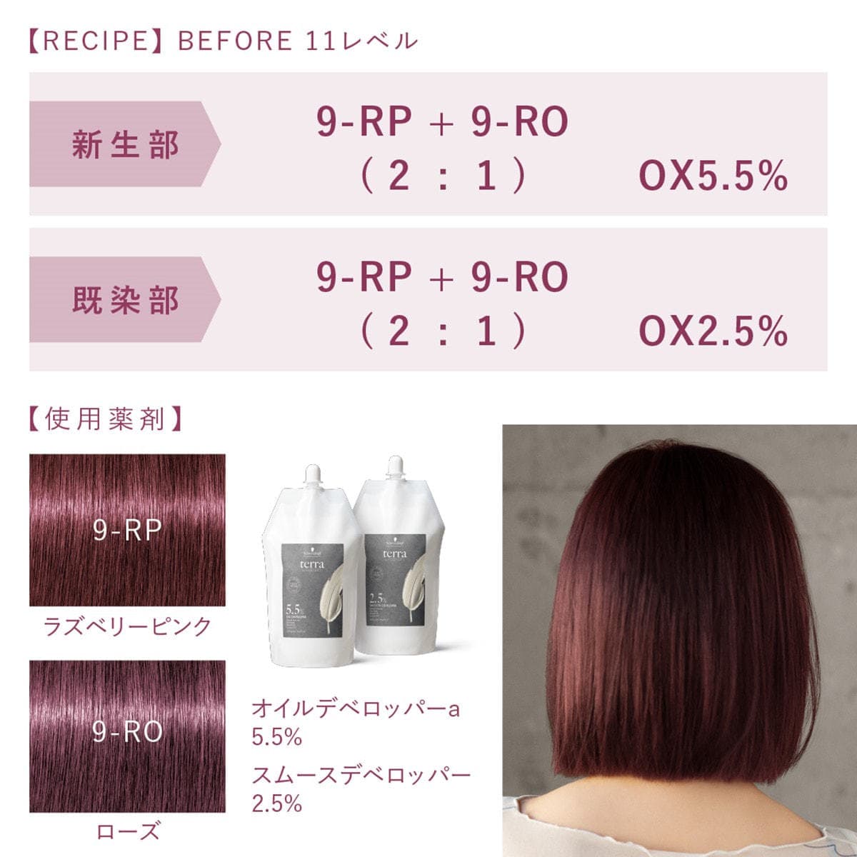 テラ by エッセンシティ 9RP《ファッションカラー》85g【医薬部外品】 9
