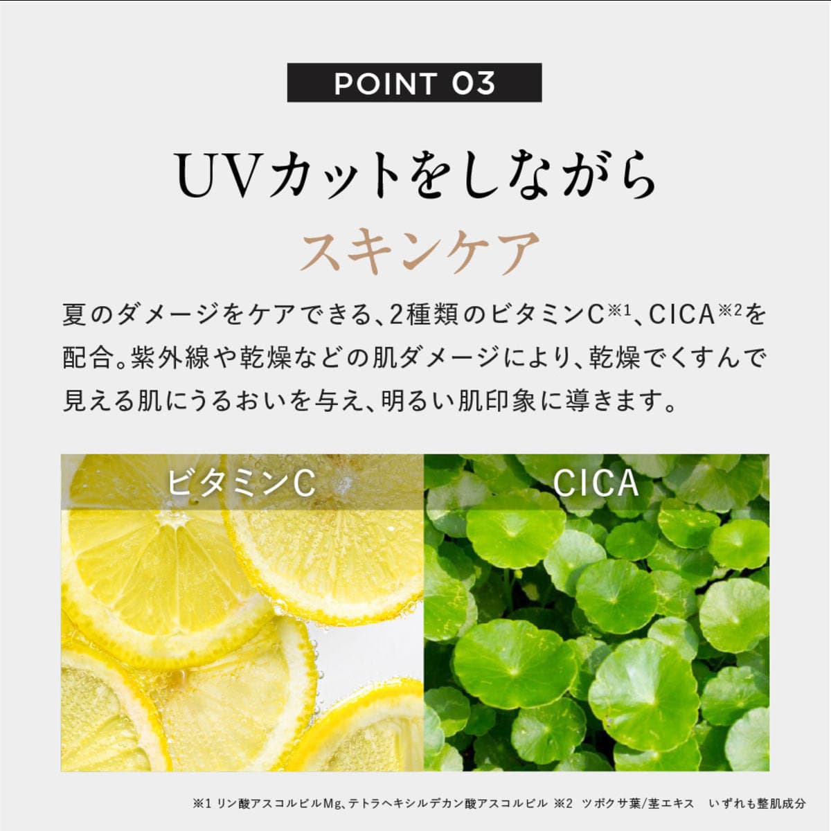 ディズム マルチスキンケアUVスティック 15g 5