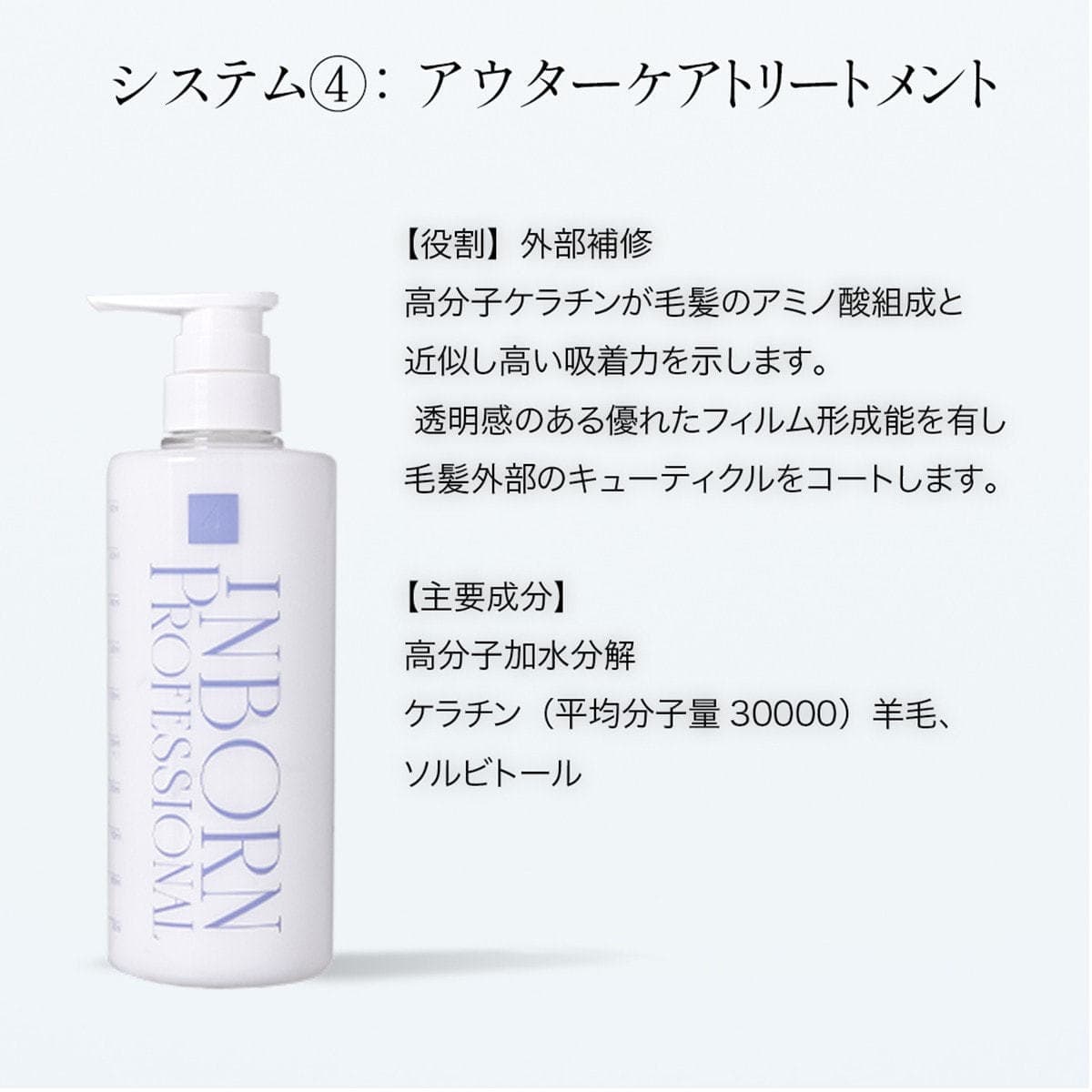 inborn(インボーン)  システム 4 1000g 3
