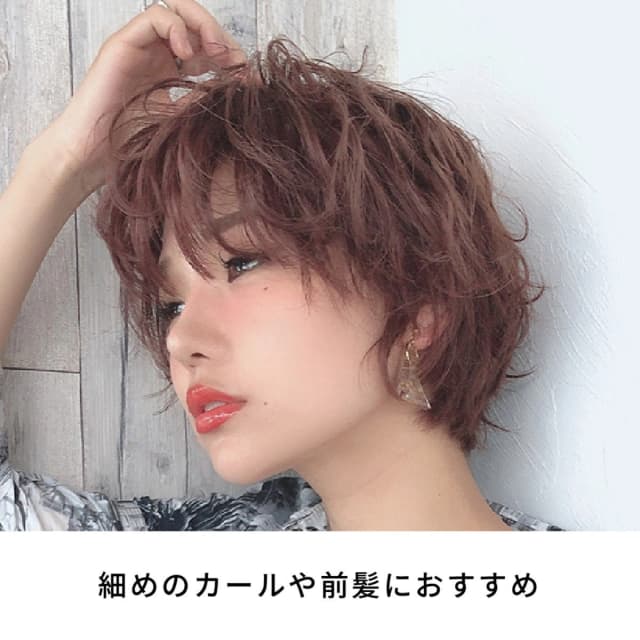 D2アイロン 25mm（ゴールドバレル）ワールドボルテージ仕様 2
