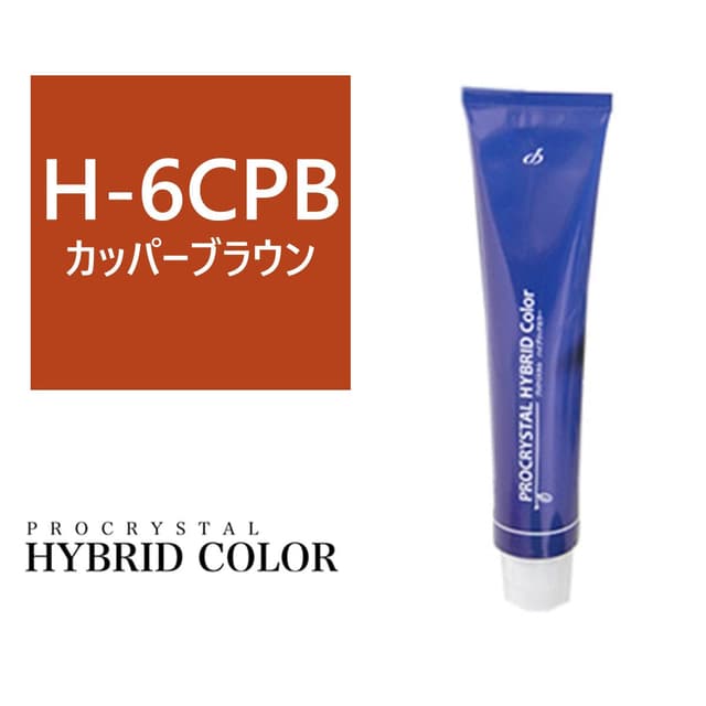 ハイブリットカラー H-6CPB(カッパーブラウン) 100g【医薬部外品】 1
