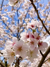 みんのプロフィール画像