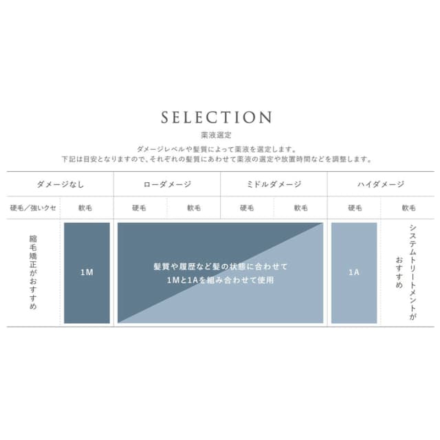 フォルムメイク 2 400mL（ブロム酸） 3