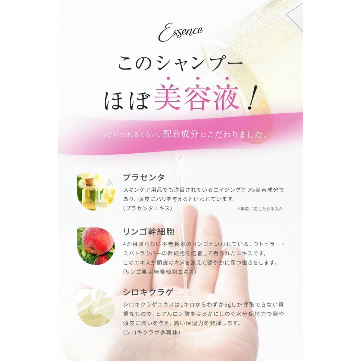 ケアネス シャンプー(FF)フルーティーフローラル 1000ml (レフィル) 3