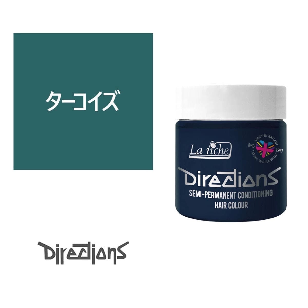 ディレクションカラー 100ml＜ターコイズ＞ 1