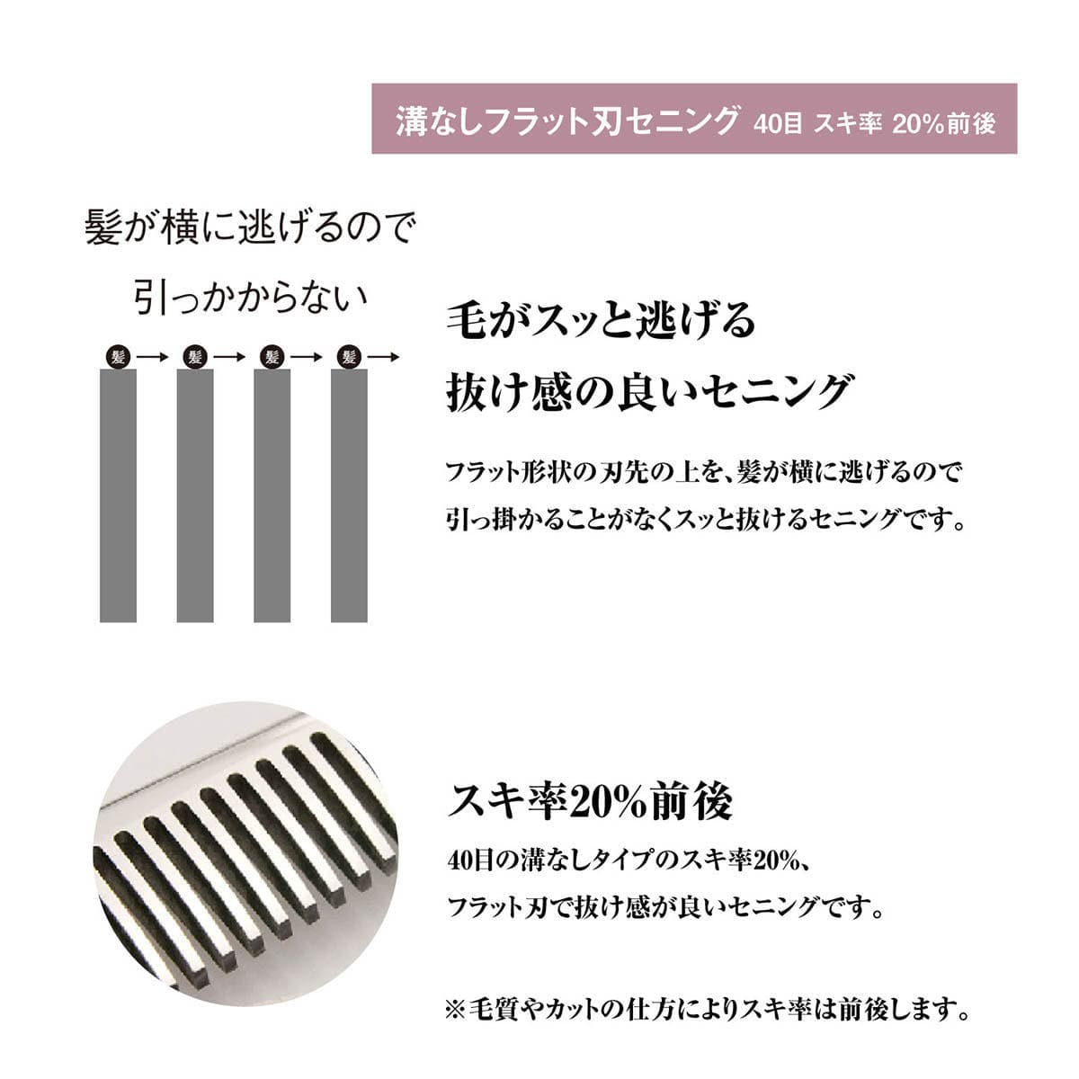 DEEDS XXB640I セニング 40目 溝無 フラット刃(6.0インチ スキ率20%前後) 5