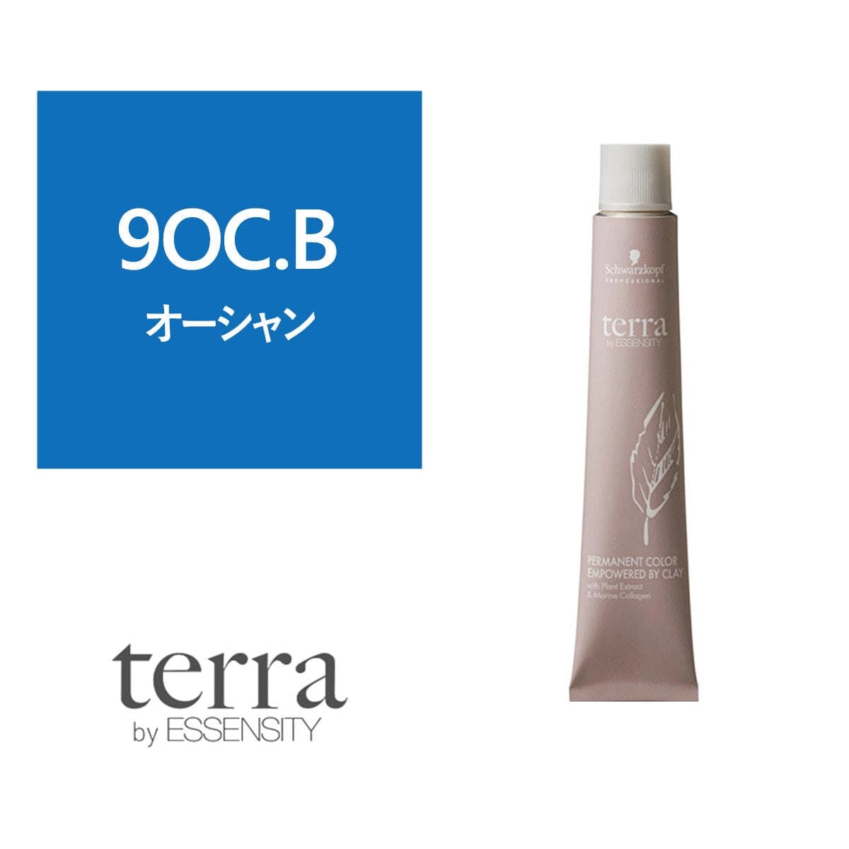 テラ by エッセンシティ 9OC.B《グレイカラー》85g【医薬部外品】 1