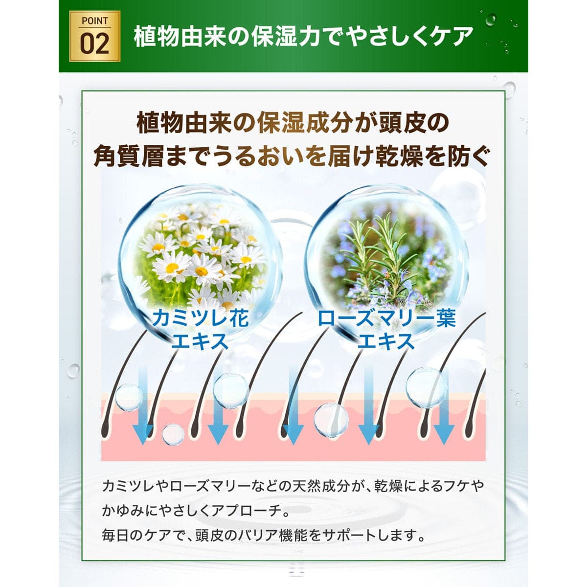 マトリキシル スキャルプシャンプー 300ml 3