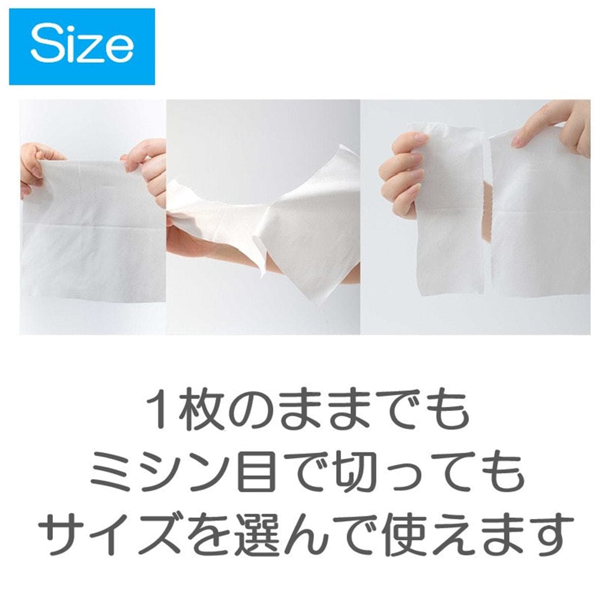 ITOスキンコットンタオル 約200×180㎜(80枚) 4