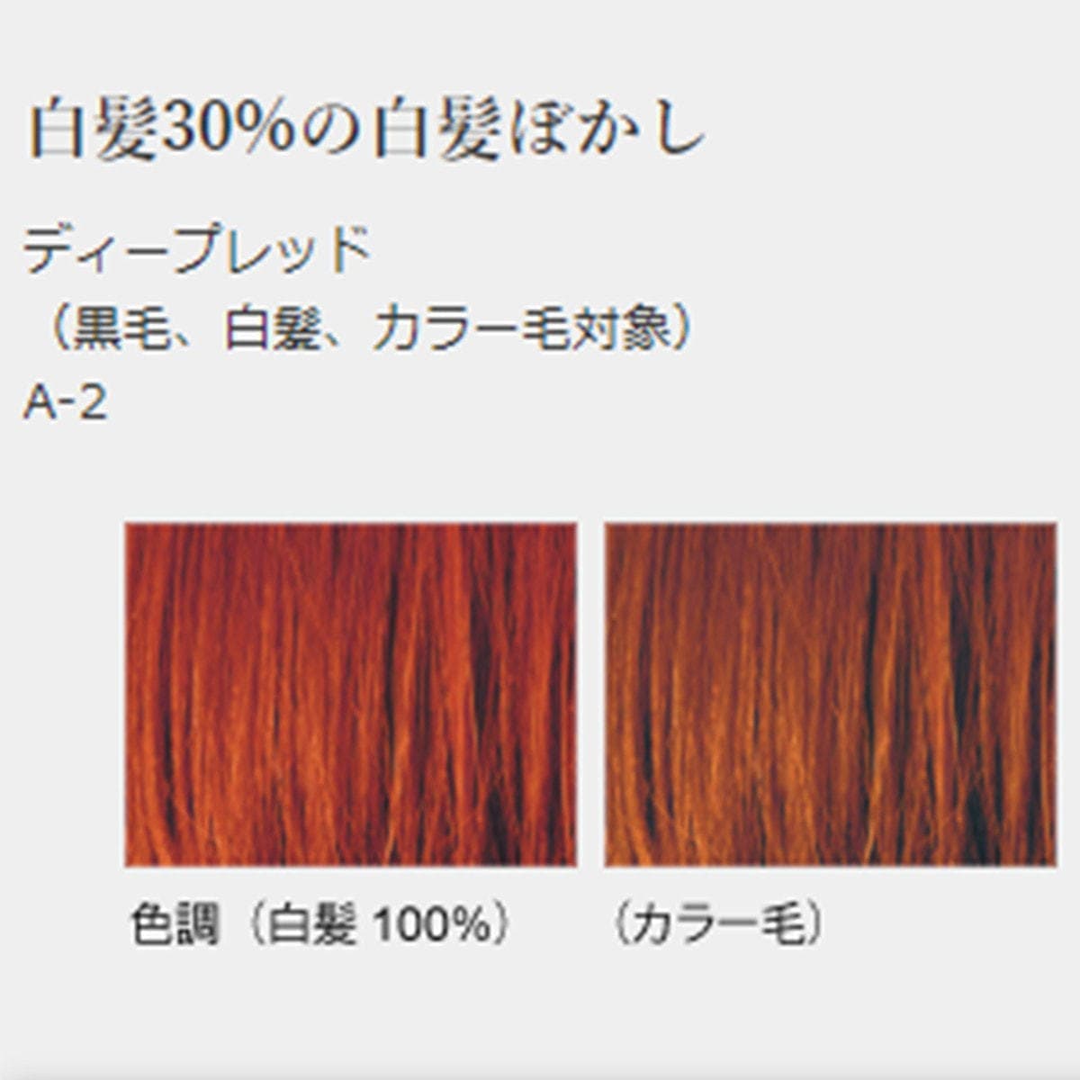 ジャパンヘナ ディープレッド100g 2