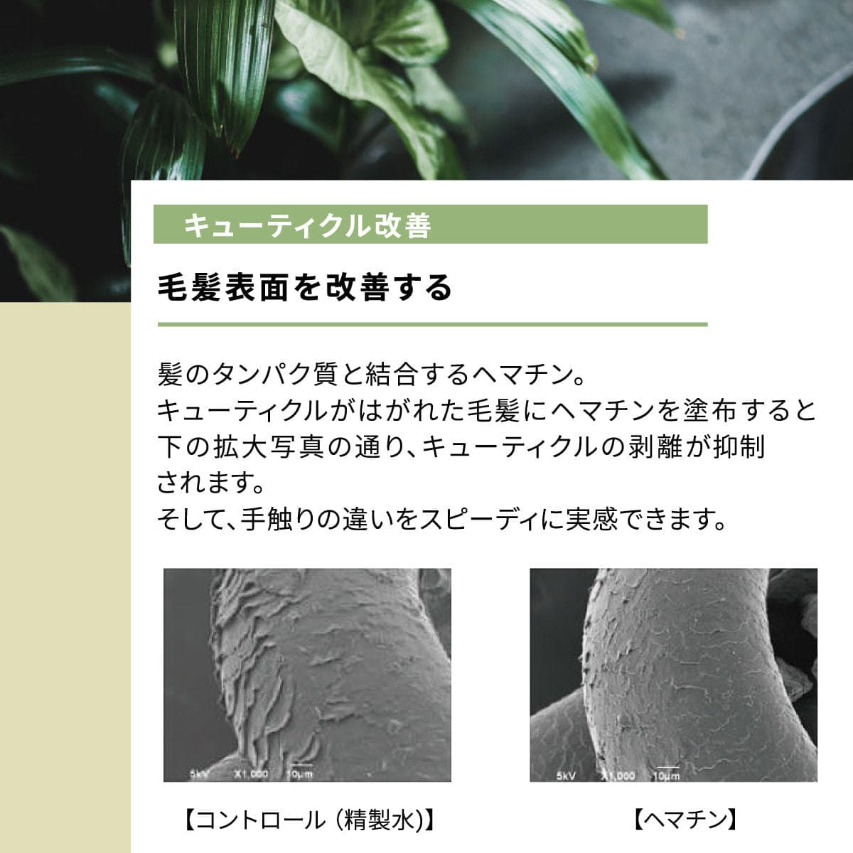 エポ プレミアムヘマチンミスト ミニ 45mL 7