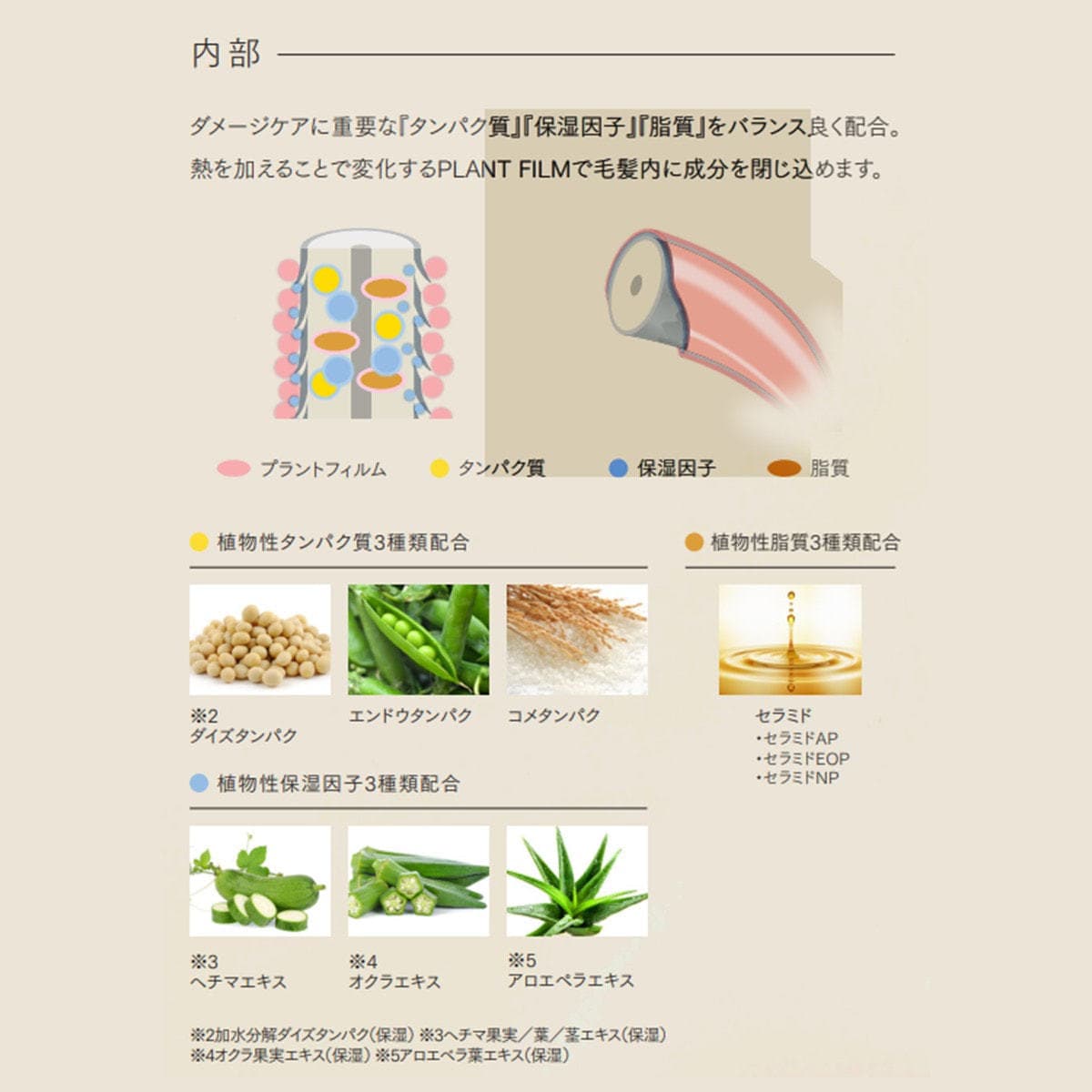 エアンス ヴィーガンソイミスト 100ml 4
