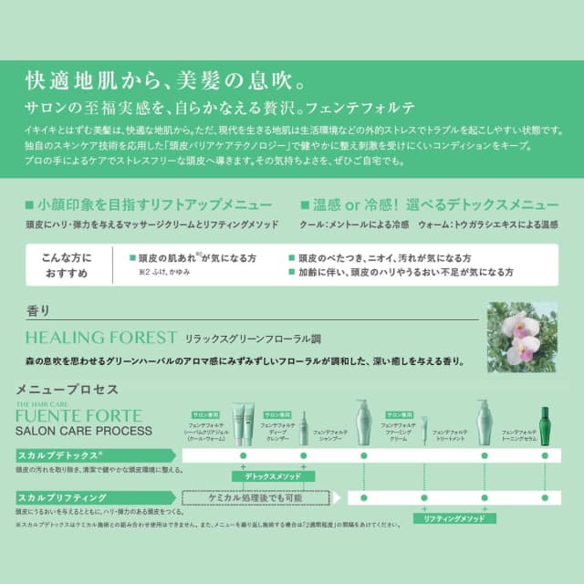 フェンテフォルテ シャンプー（乾燥頭皮向け）250ml 2