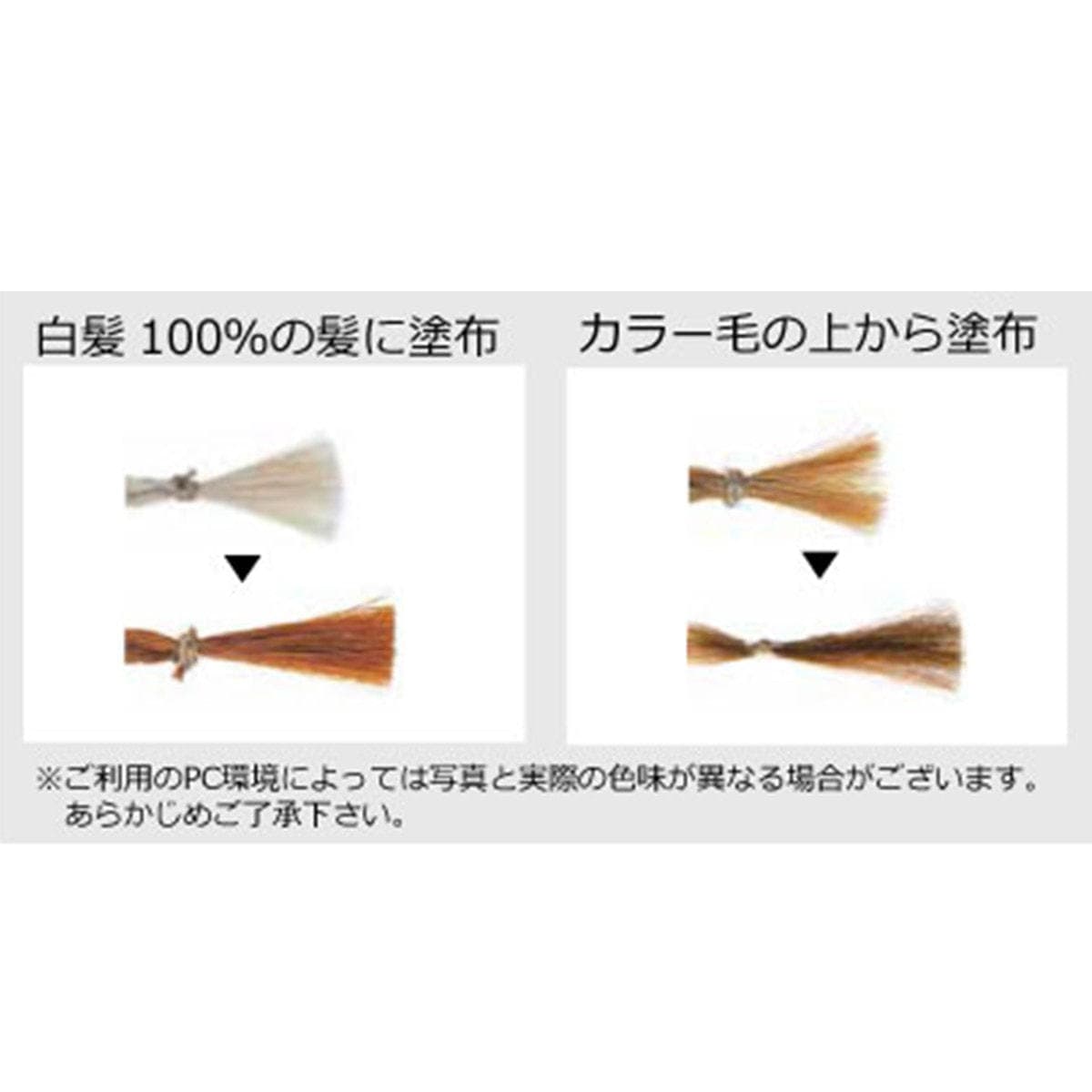 ジャパンヘナ ティーブラウン 500g 2
