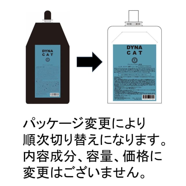 DYNA【ダイナ】CAT 400g 化粧品≪1剤≫ 2