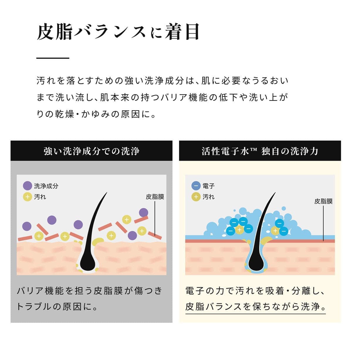 エレクトロン コスメティクス シンクロシャンプー オム FOR SCALP （男性用）  300ml 6