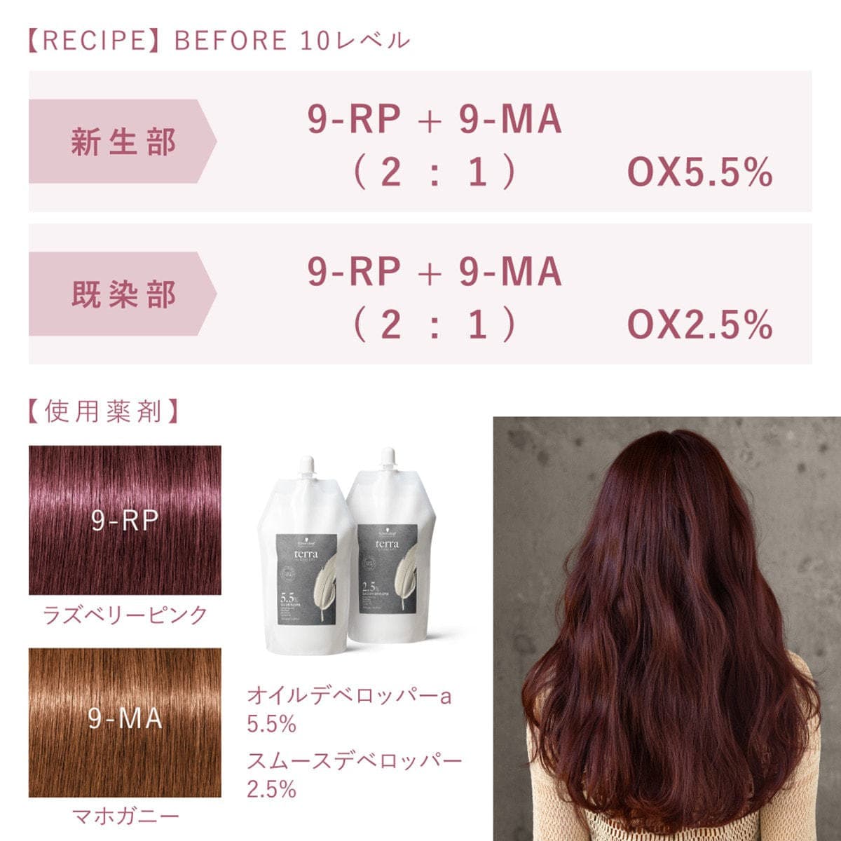 テラ by エッセンシティ 9RP《ファッションカラー》85g【医薬部外品】 3