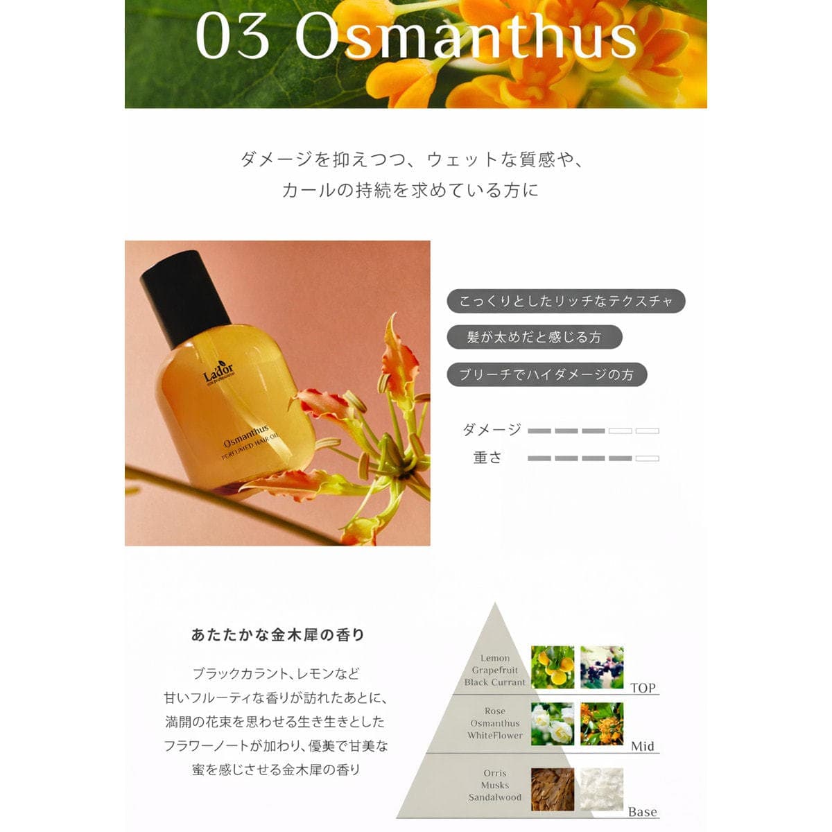 LADOR(ラドール) パフュームドヘアオイル03 リッチ （オスマンサス）80ml 3