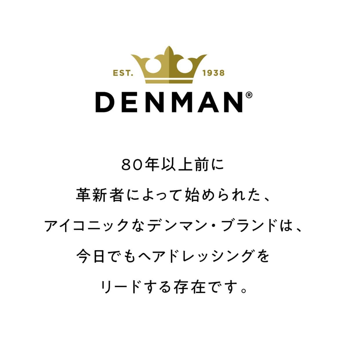 デンマン ストレートブラシD79 9