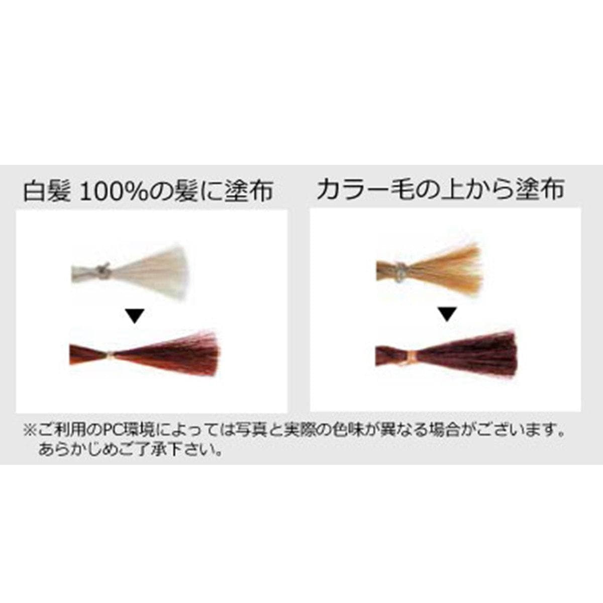 【化学染料入り】ジャパンヘナ HCピンクベリーヘナ 500g 2