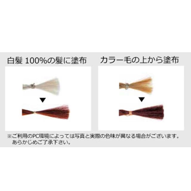 【化学染料入り】ジャパンヘナ HCピンクベリーヘナ 500g 2