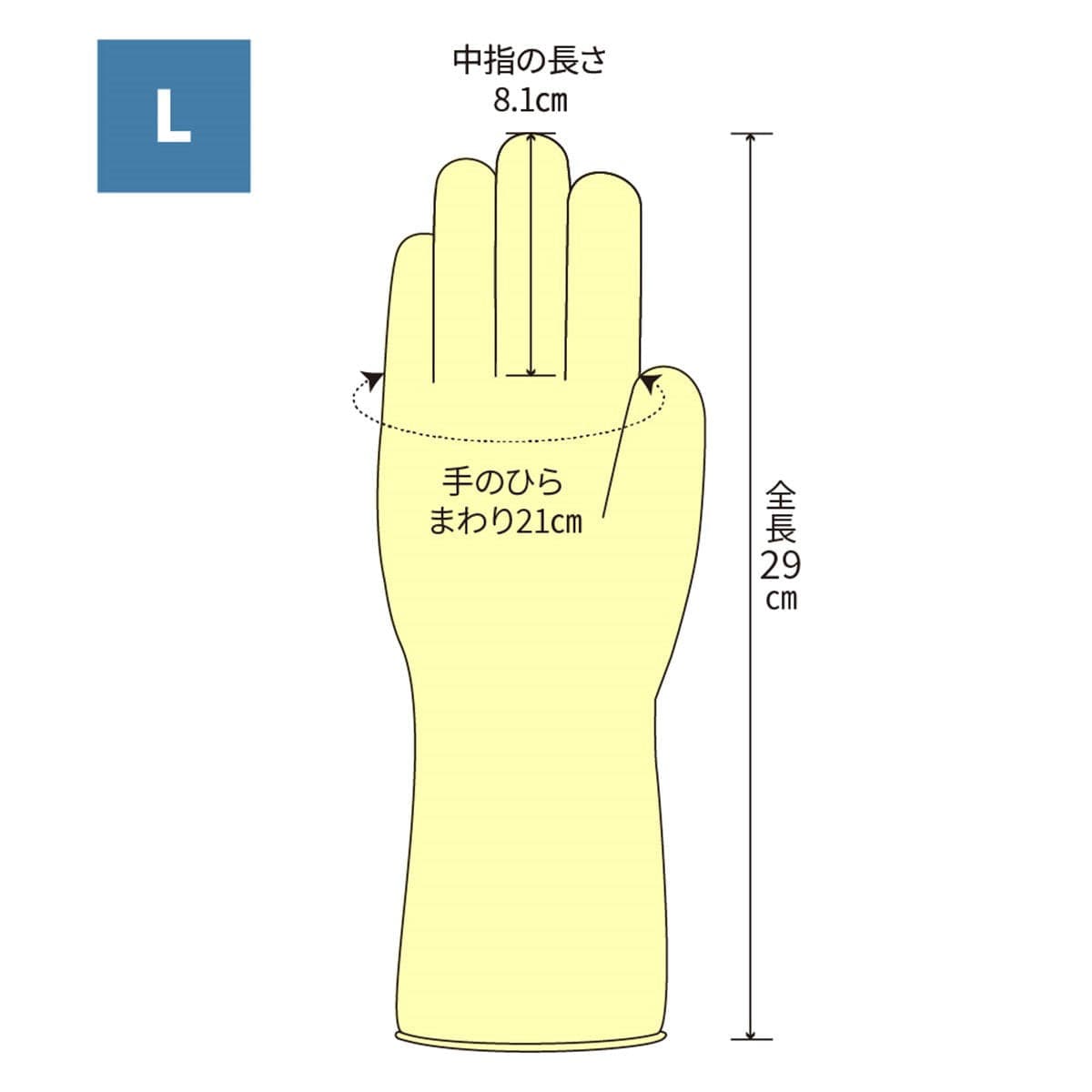 オカモト ナチュラルグローブ L（50枚） 2