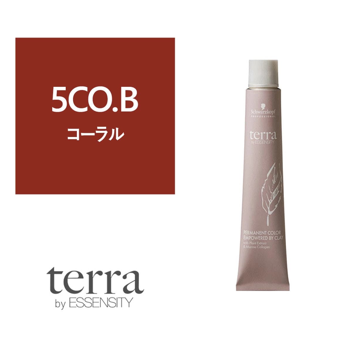 テラ by エッセンシティ 5CO.B《グレイカラー》85g【医薬部外品】 1