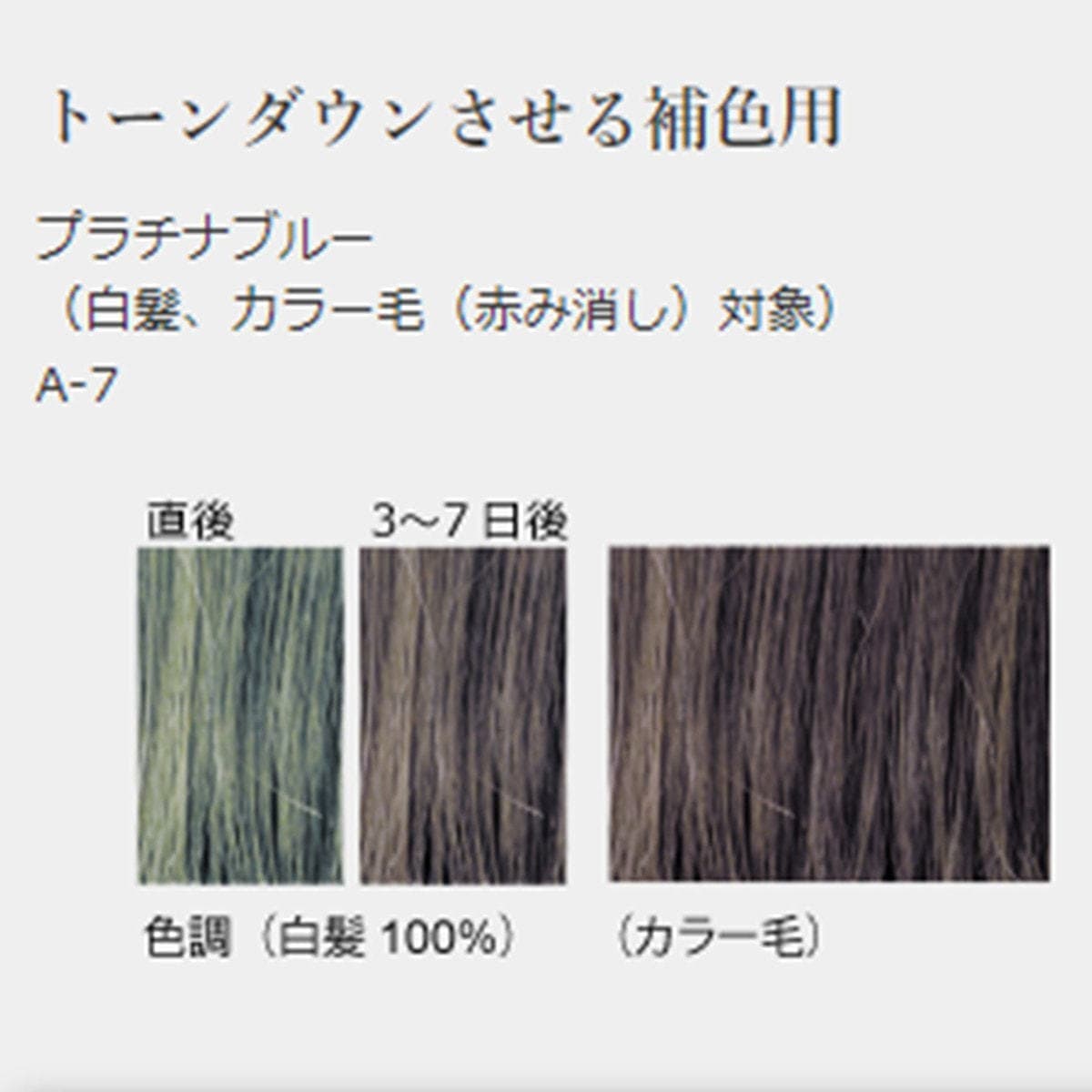 ジャパンヘナ プラチナブルー100g 2