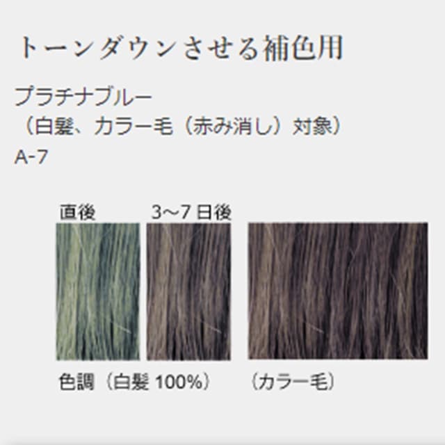ジャパンヘナ プラチナブルー100g 2