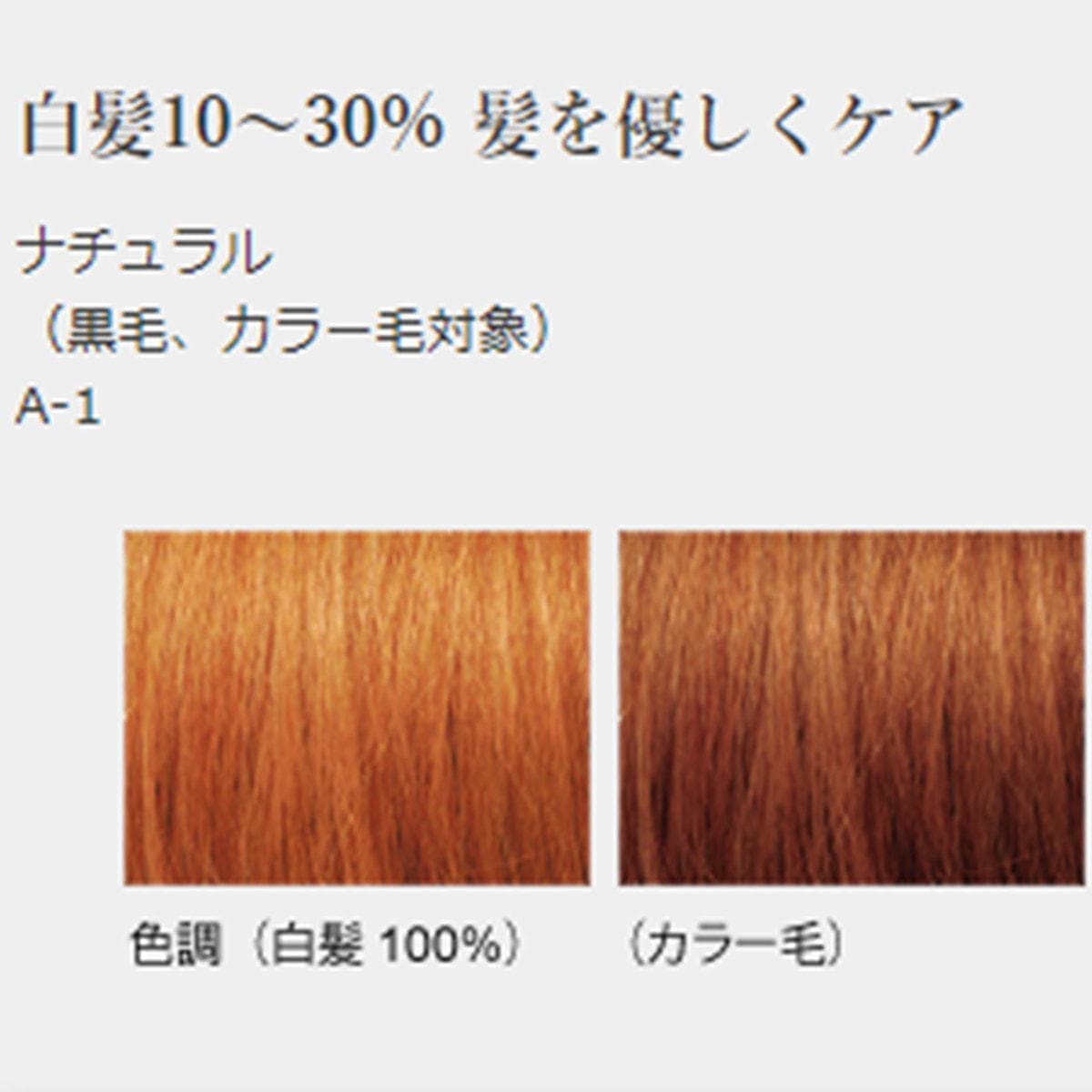 ジャパンヘナ ナチュラル100g 2