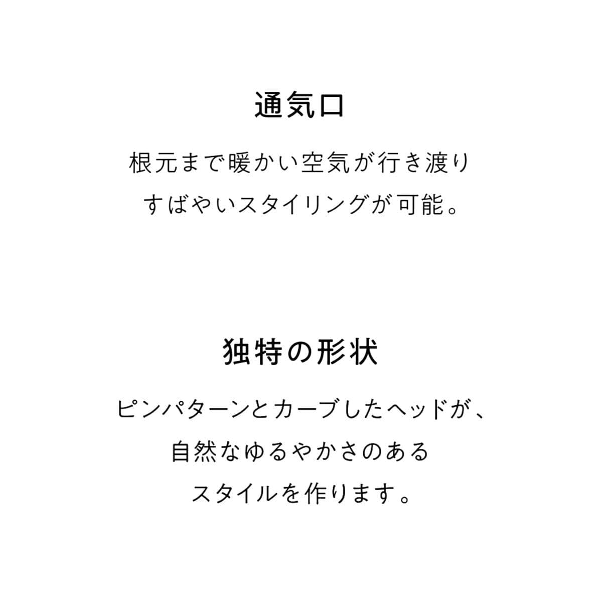 デンマンブラシ D-200 ブラック 2