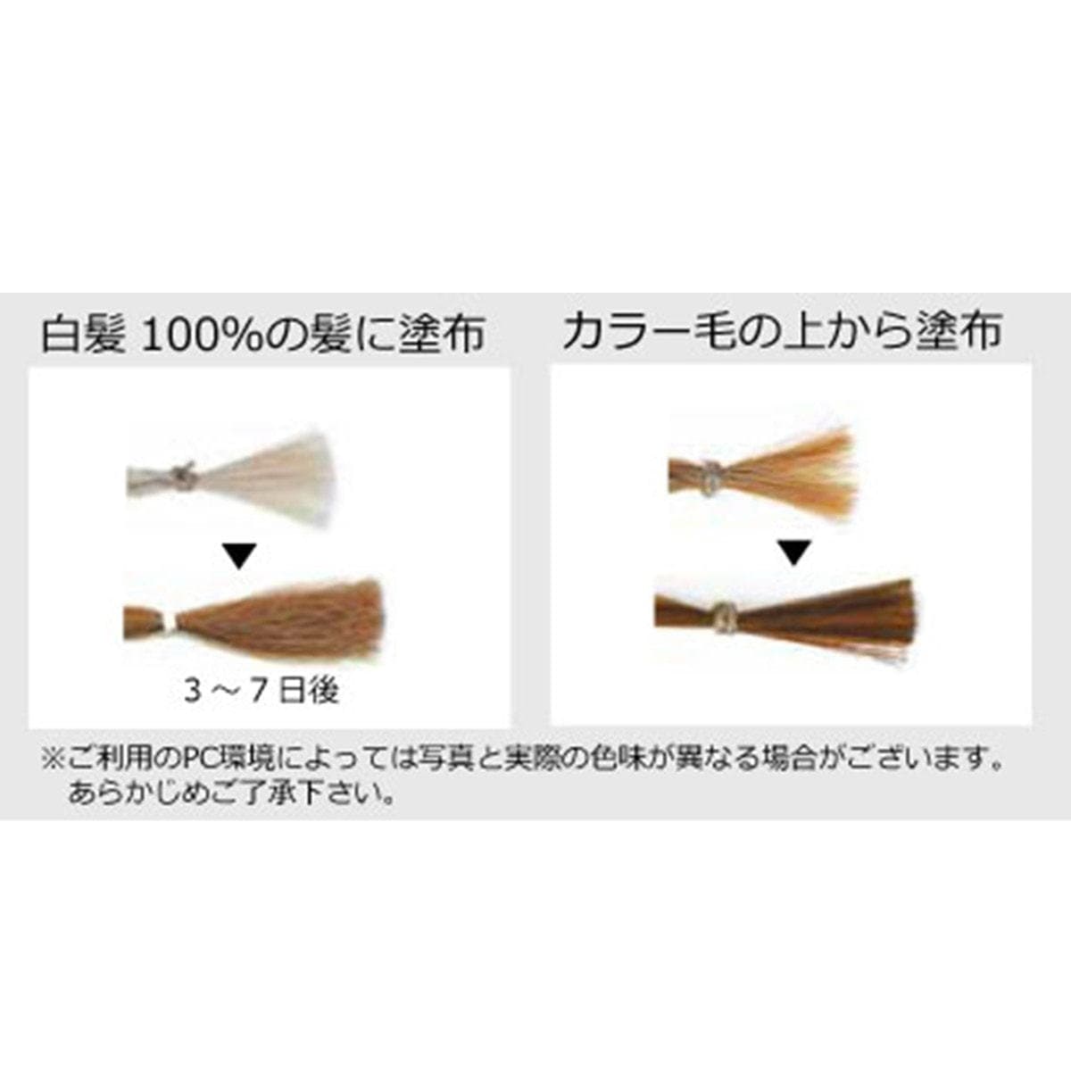 ジャパンヘナ ラテブラウン 500g 2