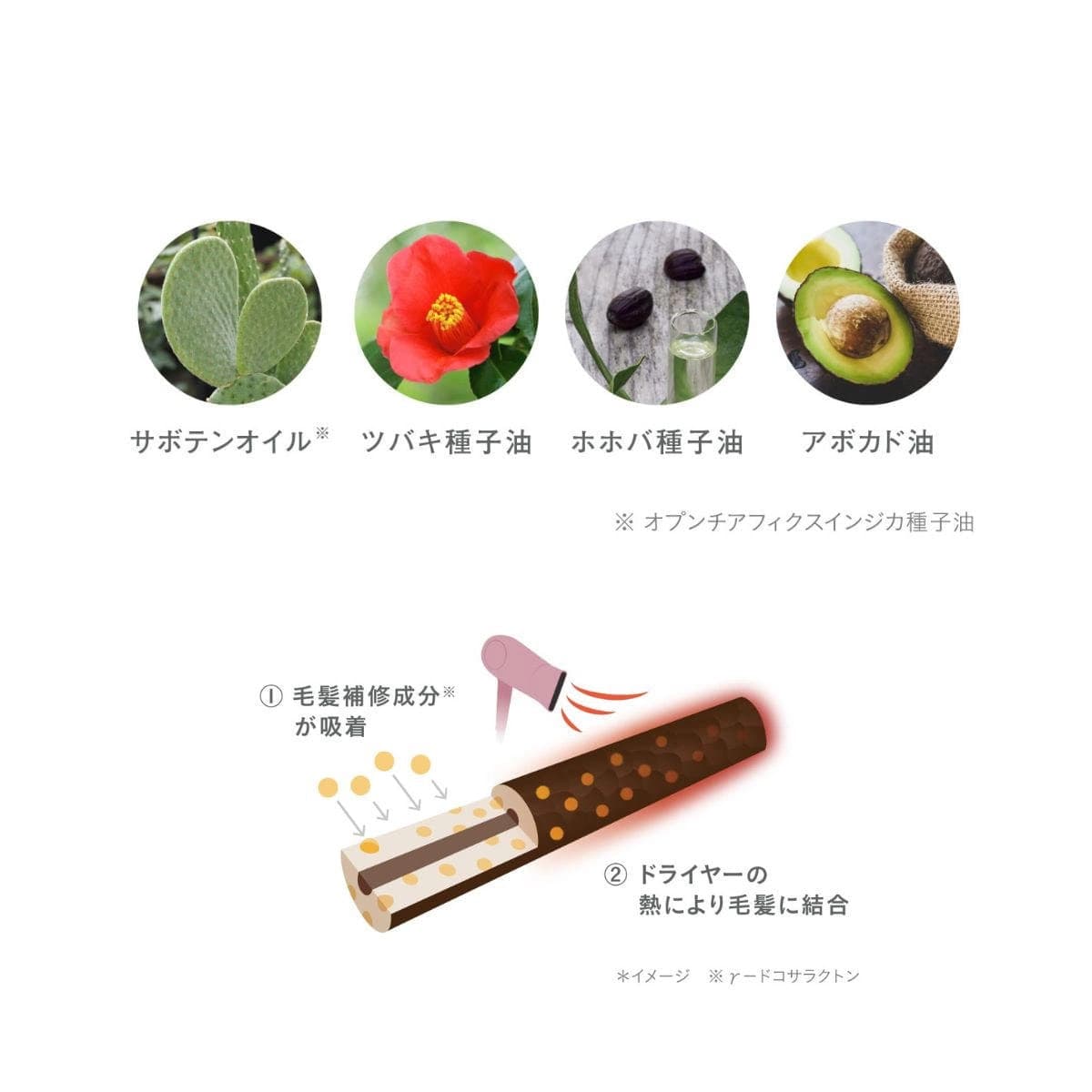 ROSE LABO 24ROSE®ローズヘアオイル 80mL 3