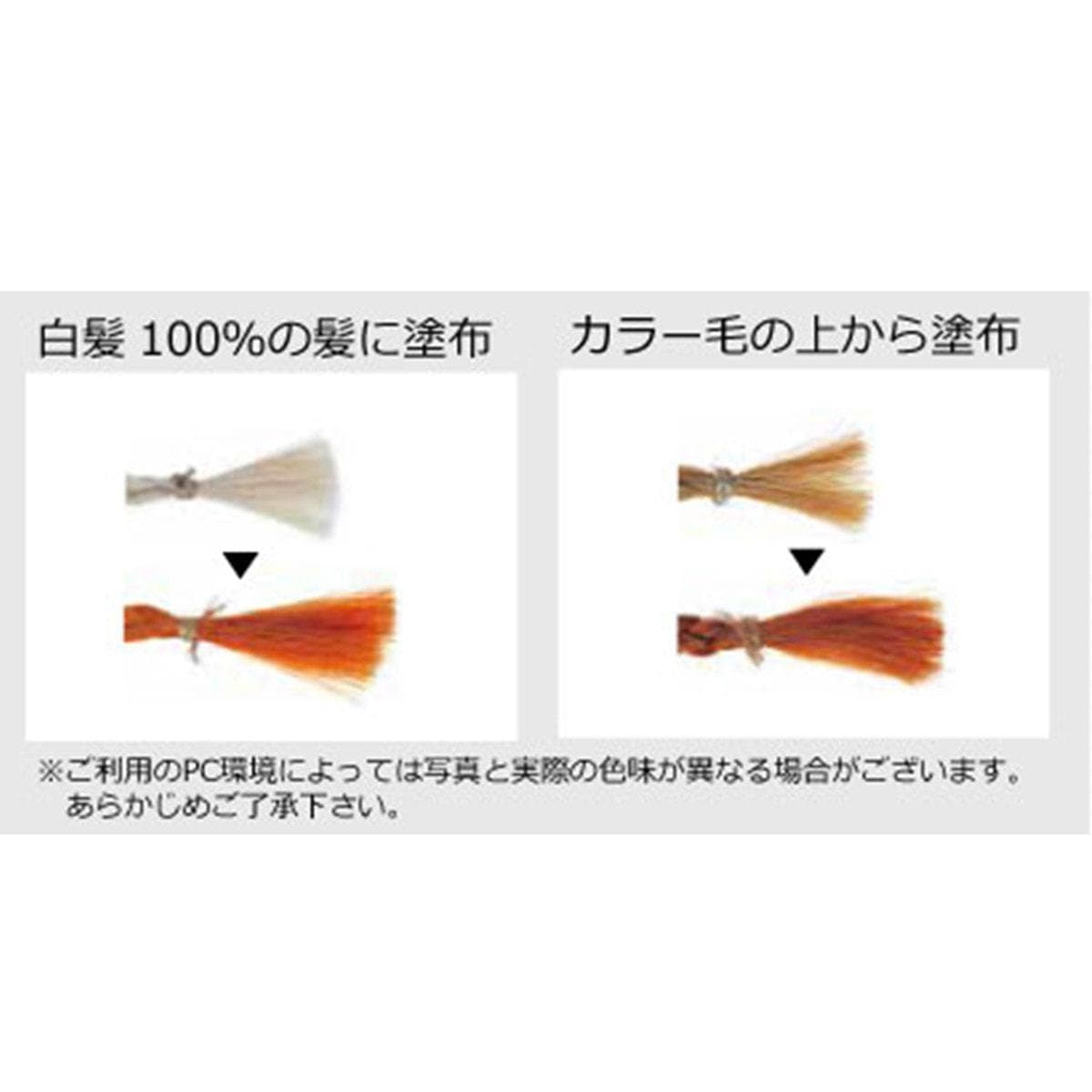 ジャパンヘナ ナチュラル 500g  2