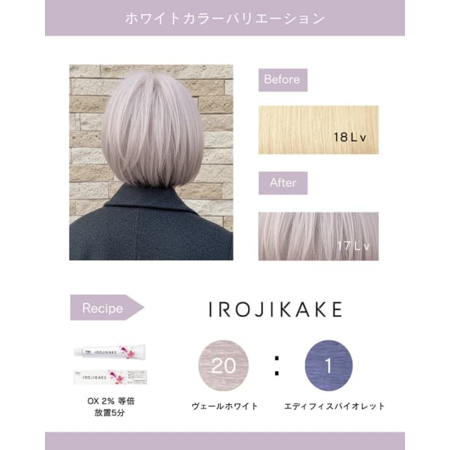 イロジカケ V WH(ヴェールホワイト)(ファッションカラー) 80g【医薬部外品】 4