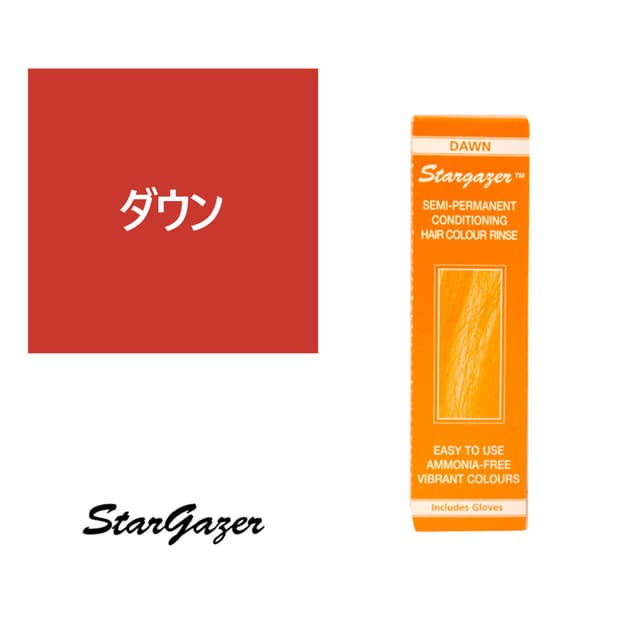 スターゲイザー ヘアカラーリンス 70ml＜ダウン＞ 1