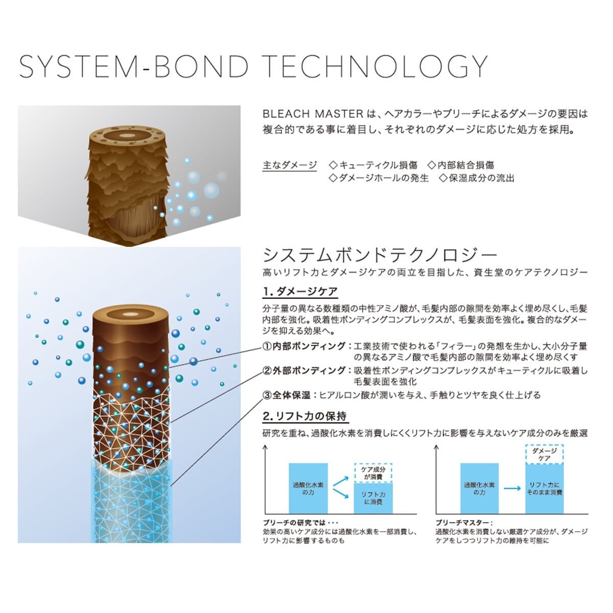 ブリーチマスターバイプリミエンス パウダー 450g【医薬部外品】 2