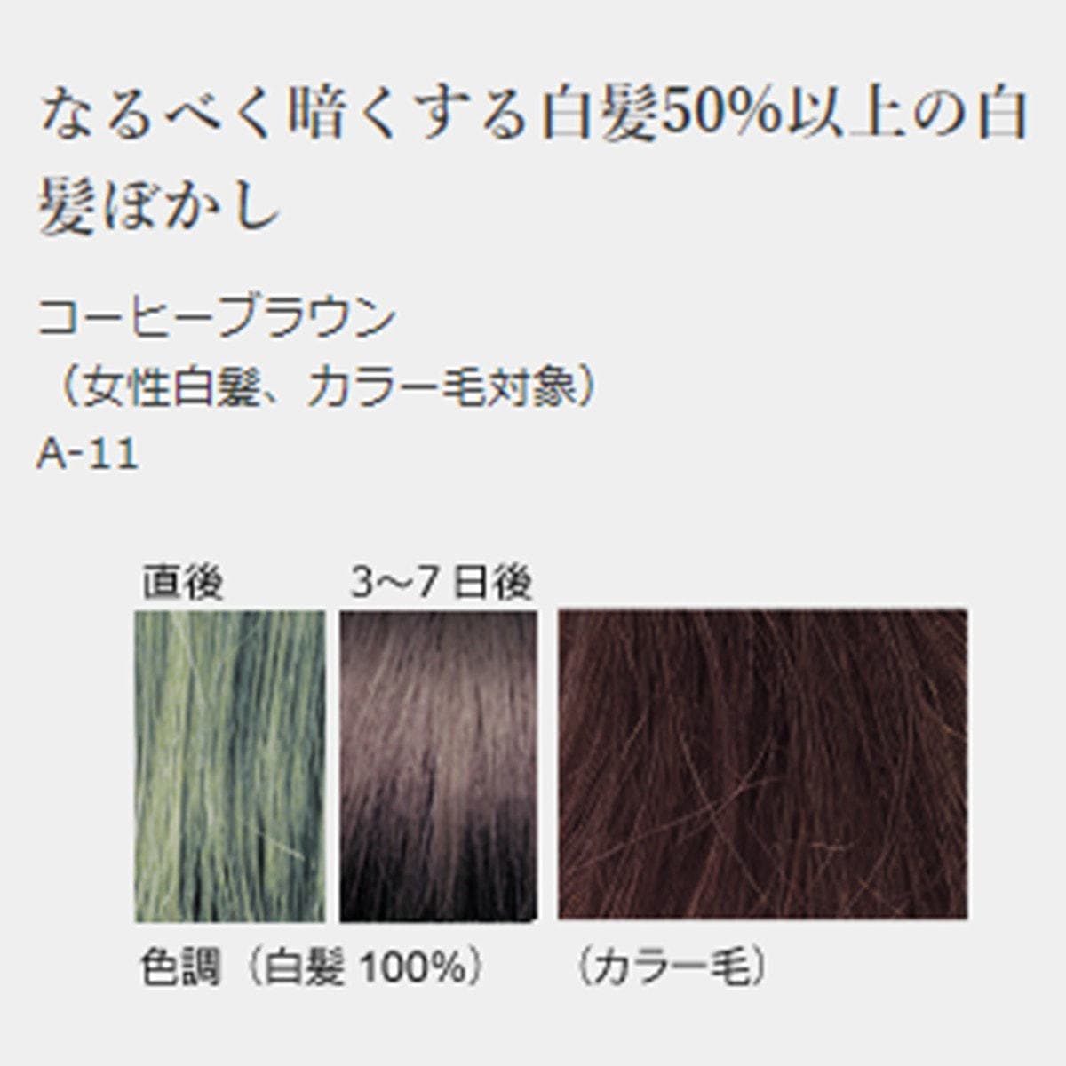 ジャパンヘナ コーヒーブラウン100g 2