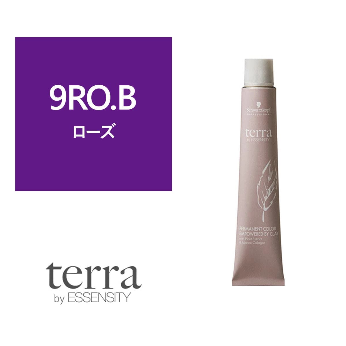 テラ by エッセンシティ 9RO.B《グレイカラー》85g【医薬部外品】 1
