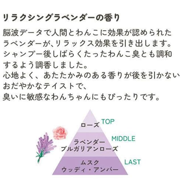 Pittari(ピッタリ) クリアクレンズ シャンプー 150ml 3