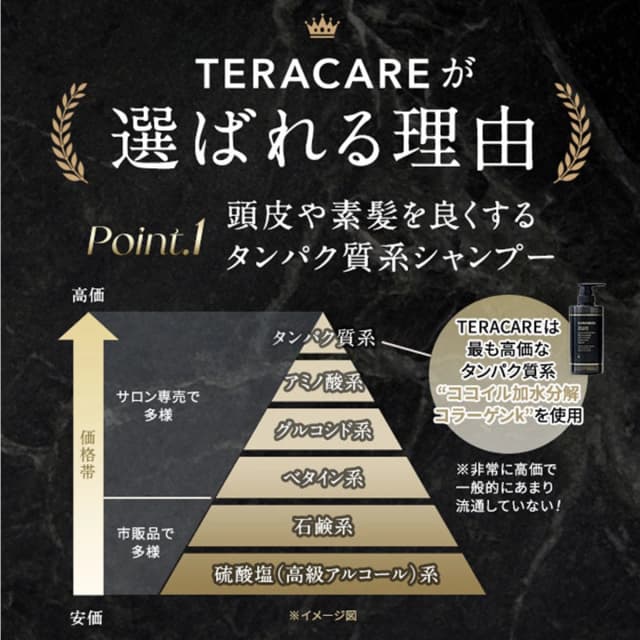 【専用容器推奨】テラケア シャンプー 1000ml(レフィル) 2